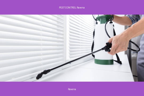PEST CONTROL Ravena